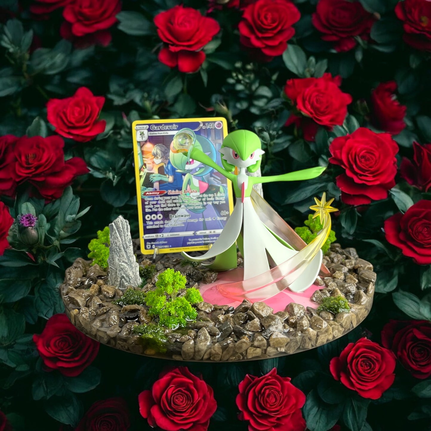 Cardholder Display for TCG Cards- You Choose!