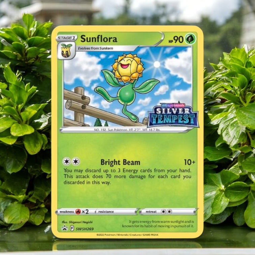 Pokemon TCG Singles - English NM