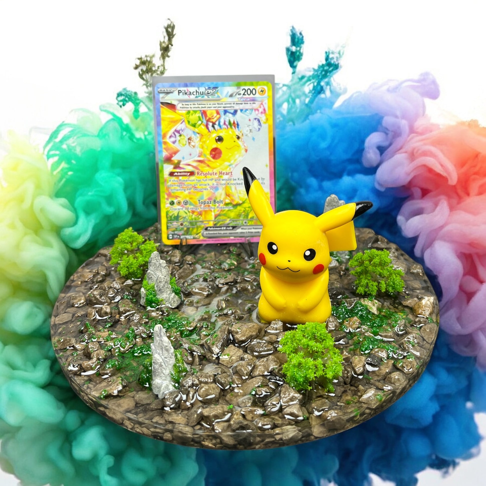 Cardholder Display for Pokemon TCG Cards- You Choose! DK Cards Cardholder Display for Pokemon TCG Cards- You Choose! DK Cards