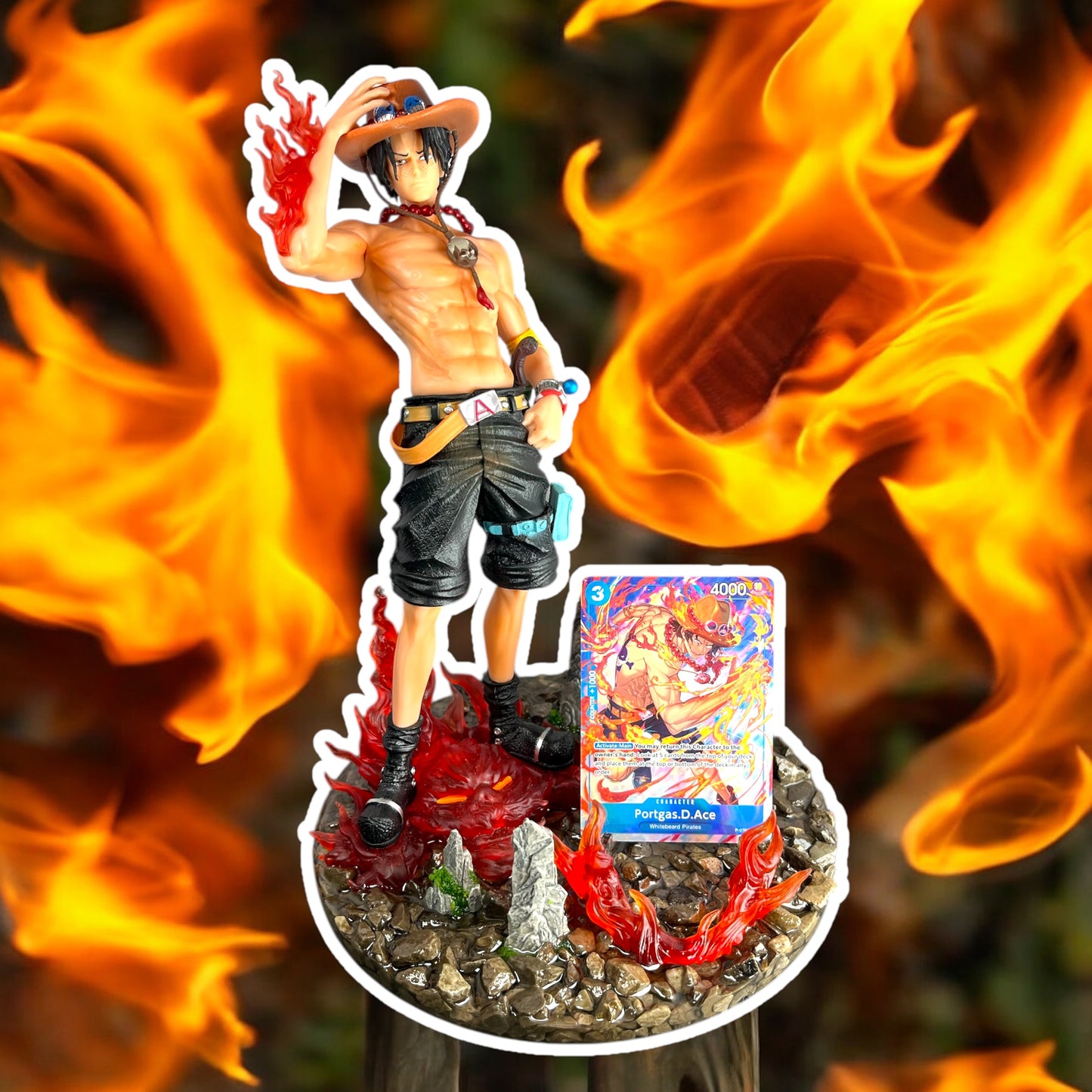 Card Holder Display for OP Cards - Collectible TCG