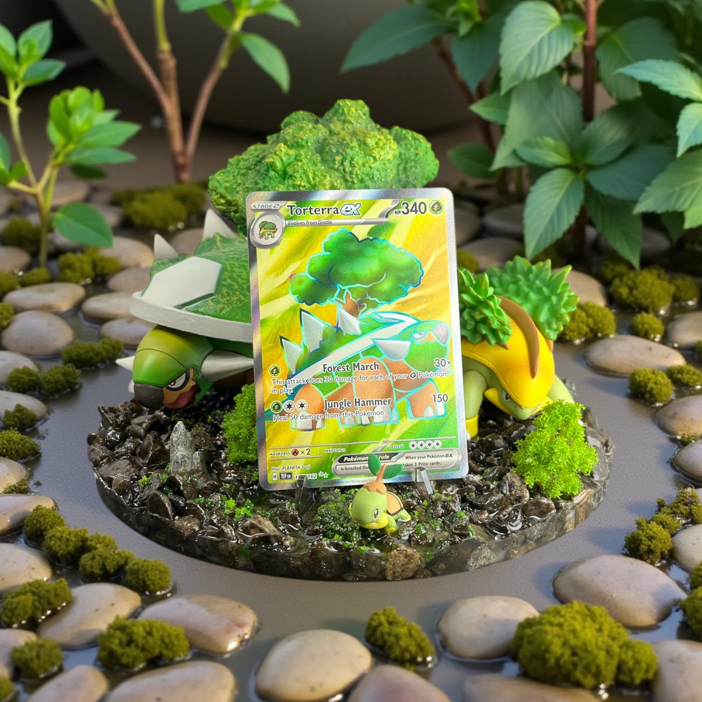 Cardholder Display for TCG Cards Pt. 2 - You Choose!