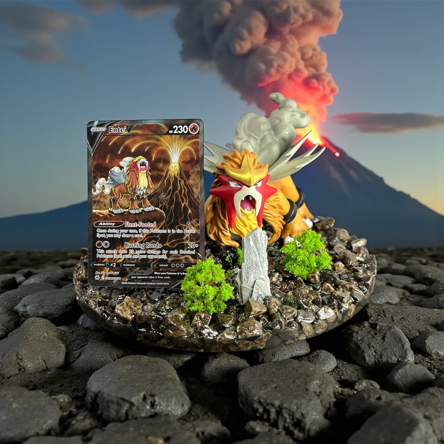 Cardholder Display for Pokemon TCG Cards- You Choose!